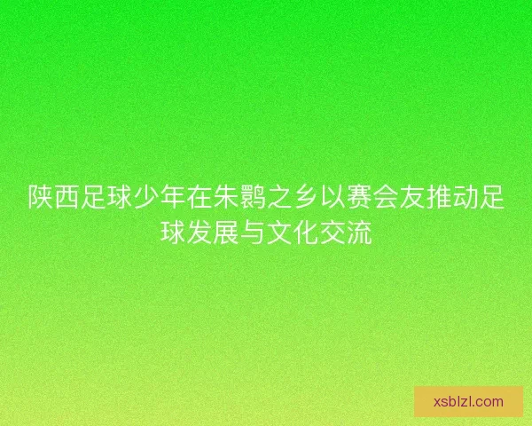 陕西足球少年在朱鹮之乡以赛会友推动足球发展与文化交流